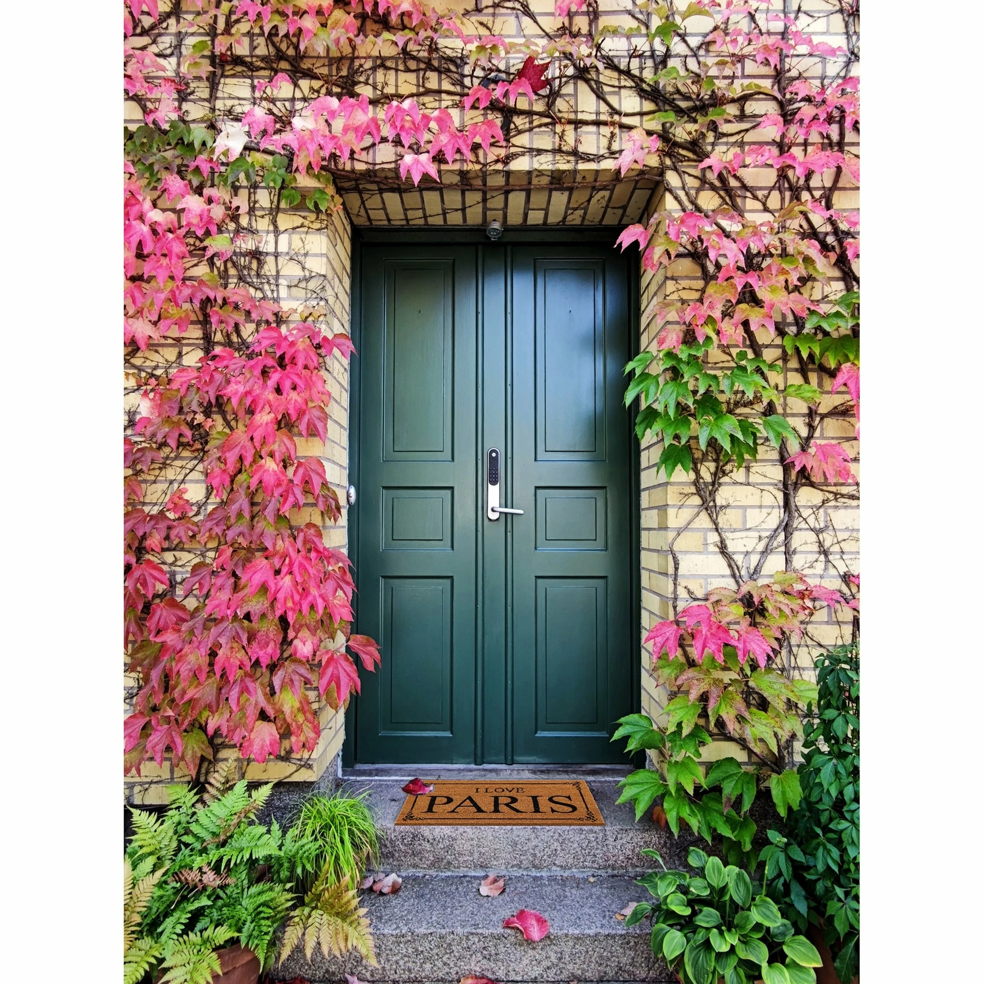 Outlet βοΈ Evideco Sheltered Coconut Door Mat Printed I Love Paris 24x13 Natural π₯ 6 Outlet βοΈ Evideco Sheltered Coconut Door Mat Printed I Love Paris 24x13 Natural π₯ - Image 6